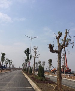 Thời điểm vàng để đầu tư bất động sản