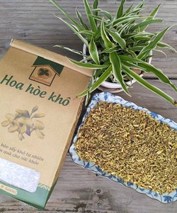 Nước uống và thuốc từ Cây Hoa Hòe