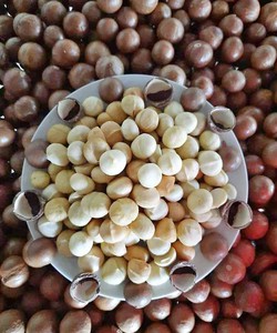 Cc sỉ lẻ hạt Macca giá rẻ giao toàn quốc