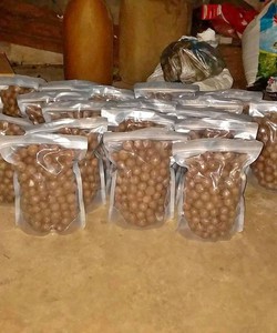 Cc sỉ hạt Macca giá rẻ toàn quốc
