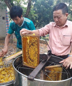 Thu hà chuyên sỉ lẻ mật ong xịn gía rẻ lục ngạn bắc giang sỉ lẻ bao giá toàn quốc