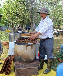 Là 1 trong những nơi nuôi ong lớn nhất cả nước LỤC ngạn bắc giang luôn đem lại nguồn mật ong ngon xịn bổ rẻ