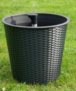 Chậu cây tự tưới thông minh tại Hà Nội