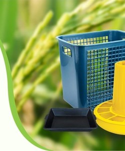 Dịch vụ sản xuất hàng nhựa nông nghiệp trong chăn nuôi