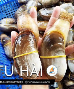 Tu hài sale giá sốc giảm 100k/kg chỉ còn 380k/kg