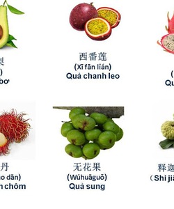 Học từ vựng chủ đề hoa quả tiếng Trung cùng Atlatic nhé