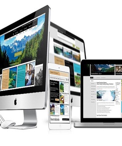 Quản Trị Website Chuyên Nghiệp