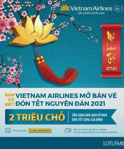 Vé máy bay tết giá rẻ 2021