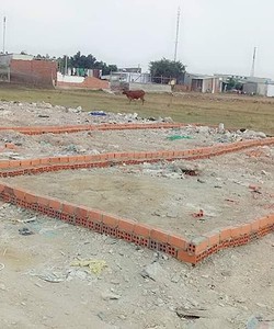 Bán đất gần cầu Bà Tri Vĩnh Lộc B Bình Chánh