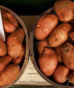 Khoai lang bao nhiêu calo