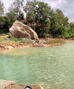 Vỡ nợ bán gấp lô đất gần khu tái định cư Tân Phước 300m trung tâm Bà Rịa Vũng Tàu