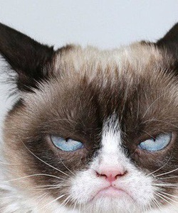 Hot Hot Hot Đất dự án sân bay Long Thành Century city,OCB hổ trợ 70%,sổ hồng sở hửu lâu dài chỉ 1,7 tỷ