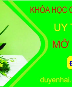 Học cắm hoa nghệ thuật