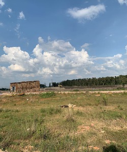 Bán đất gần bách hóa xanh Vĩnh Lộc Bình Chánh