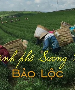 Đất du lịch tp bảo lộc đà lạt giá rẻ