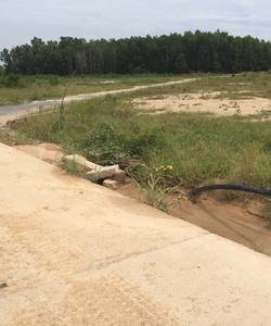 Tôi cần bán lô đất gần khu vực Ông Trịnh Cảng Cái Mép thị xã Phú Mỹ