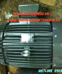 Động cơ motor teco aesv1s 4p 40hp Teco Xuong Minh