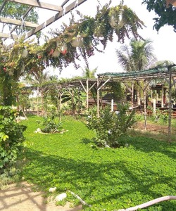 Đất nền diên đồng, diên khánh, tỉnh lộ 2