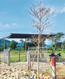 Chính chủ cần ra đi lô đất Diên Khánh 1000m2 giá rẻ