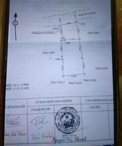 Bán đất tặng nhiều ưu đãi trên đất tại Chùa Hàng cho 205.10m 39tr/m Mại Đzô