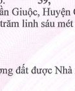 Đất ở đô thị, sổ hồng riêng 4x26 1ty470 cách ngã ba Tân Kim 300m