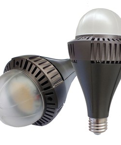 Đèn Led bulb FR BW80W