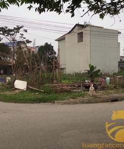 Cần Bán mảnh đất 2 mặt tiền ô tô đỗ cửa đường thông tại Hà Đông