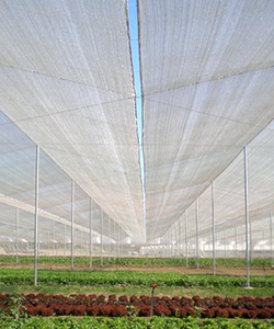 Nhà lưới nông nghiệp politiv israel, vật tư nhà lưới,mẫu nhà lưới đơn giản
