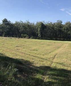 Đất vườn Củ Chi 1142m2 giá 1 tỷ 450tr, SHR sang tên công chứng trong ngày