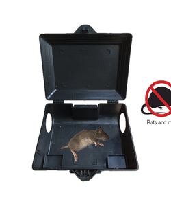 Hộp Bẫy chuột chuyên dụng, Hộp bẫy chuột 29cm x 21cm x 12cm