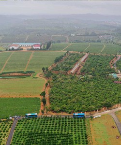 Đất full thổ cư 100m2 giá 690TR Lộc Tân Lâm Đồng