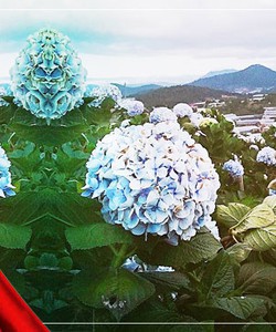 Tour Nha Trang Đà Lạt 4N4Đ Lễ 30/4