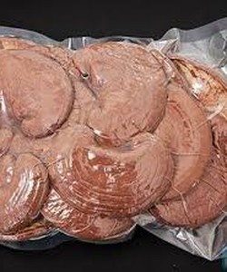 Cung cấp nấm linh chi xuất khẩu