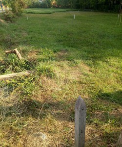 Bán 591m2 Đất Vườn Củ Chi, giá 960tr, SHR sang tên ngay