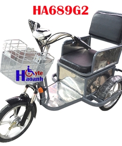 Xe điện ba bánh HA689G2