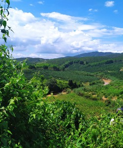 Bán nhanh đát Nam Hà có thác