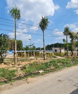 Bán đất nền giá cạnh tranh Ngay Khu Tái Định Cư Lộc An