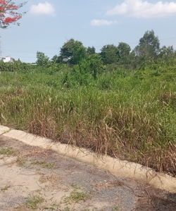 Đất mặt tiền đường DT826 có SHR dân cư hiện hữu xây dựng tự do