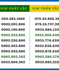 Sim thần tài sim lộc phát sim phong thủy hợp mệnh giá rẻ