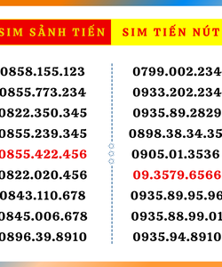 Sim tiến nút sim taxi tiến sim sảnh tiến