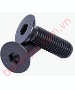 Bu lông lục giác chìm đầu bằng fhc bo series fhc bo M10x16