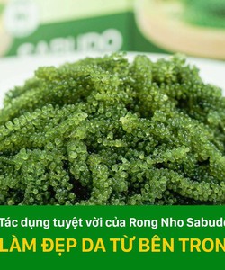 Rong Nho Sabudo có tốt không