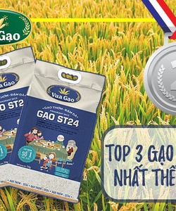 Nơi cung cấp gạo st24 giá siêu rẻ