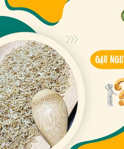 Gạo nguyên cám có tốt cho trẻ