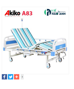 Giường bệnh nhân 3 tay quay Akiko A83 có bô, bàn ăn