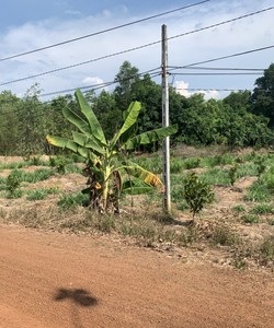 Đất gần sát hồ Dầu Tiếng 3xxtr/nền