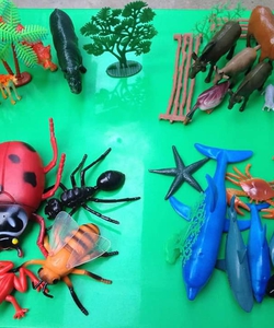 Túi động vật 4 chủ đề