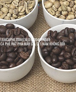 Cung cấp cà phê robusta hạt rang mộc 1kg giá sỉ chỉ 85k