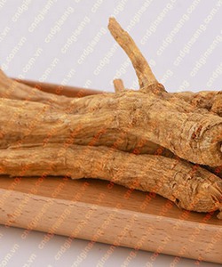 Nhân sâm canada chăm sóc sức khỏe