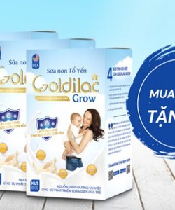 Combo mua 3 tặng 2 Sữa non tổ yến Goldilac Grow Chính Hãng
